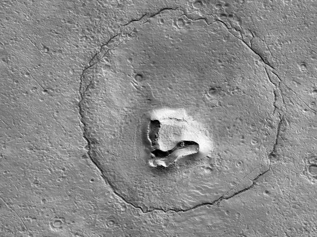 You'd Think It's a Bear —Except It's on Mars