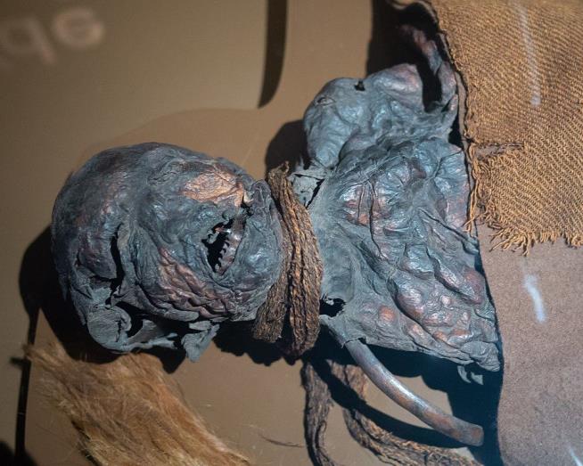 Bodies Dumped in Bogs Over 7K Years Reveal a Nasty End