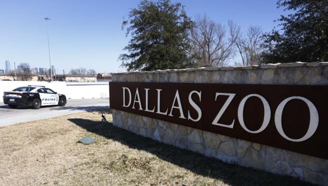 $25K Reward Offered in Dallas Zoo Mystery