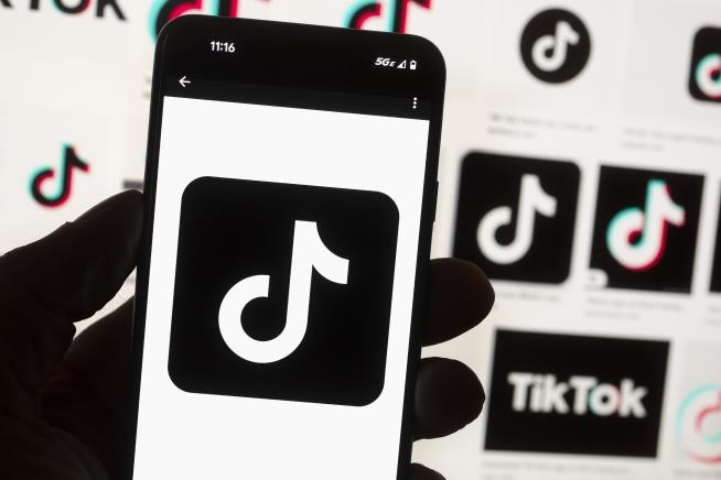 Canada Bans TikTok From Government-Issued Phones