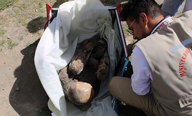 Man Found With Ancient Mummy He Called His 'Girlfriend'