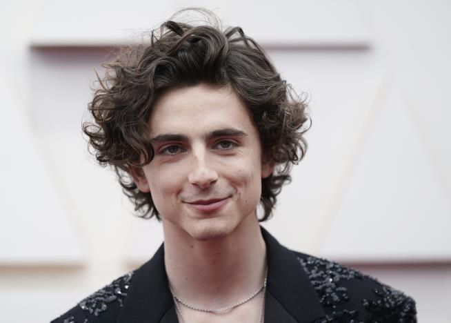 Timothee Chalamet Will Do the Singing in Bob Dylan Movie
