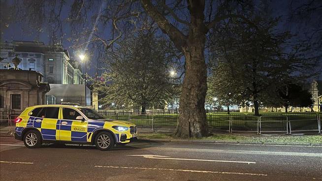 Man Throwing Shotgun Shells Arrested at Buckingham Palace