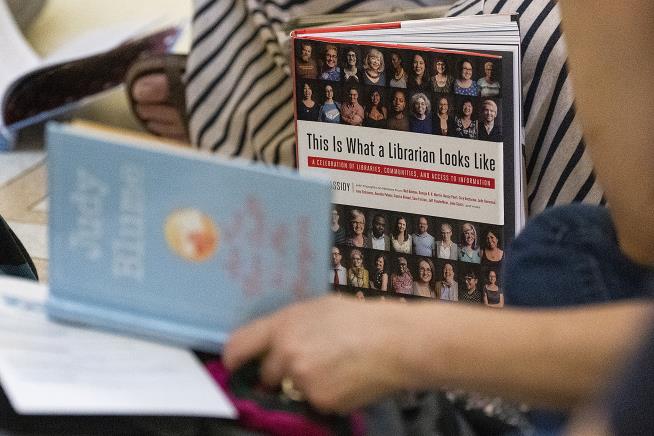 Illinois Approves Bill to Counter Book Banning