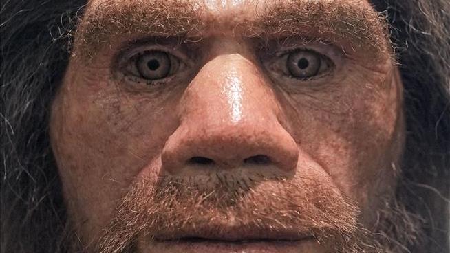 We Got Bigger Noses From Neanderthals