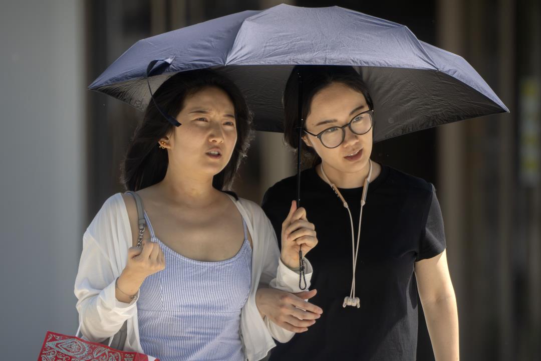 لا يستخدمون المظلات في بكين بسبب المطر