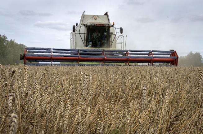 Russia Pulls Out of Grain Deal Vital to World Food Prices