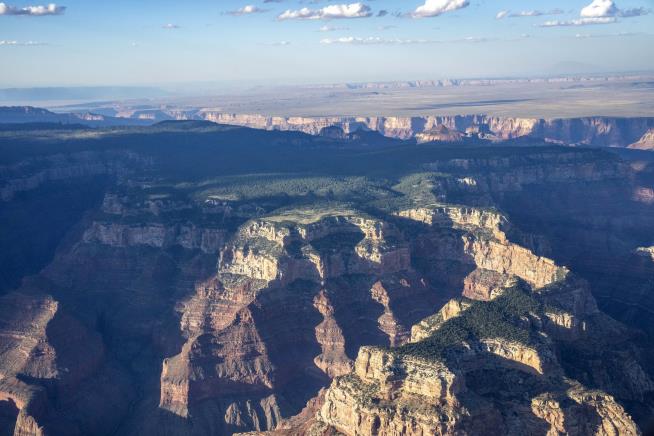 Teen Survives Fall From Grand Canyon's North Rim