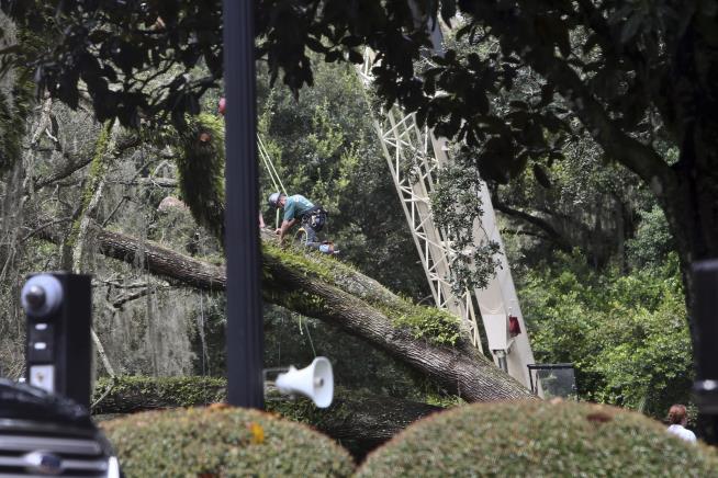 100-Year-Old Tree Falls During Storm at Governor's Mansion