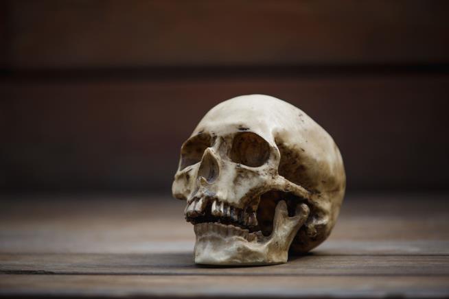 DNA Links Africa's Stolen Skulls With Living Descendants