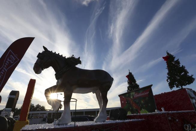 Good News for Budweiser's Clydesdales
