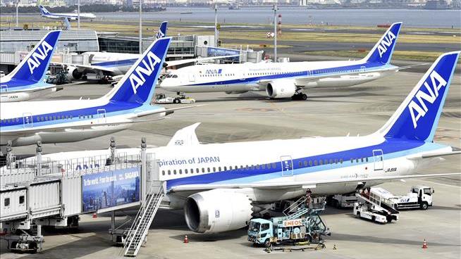 Plane Bound for US Returns to Tokyo After Biting Incident