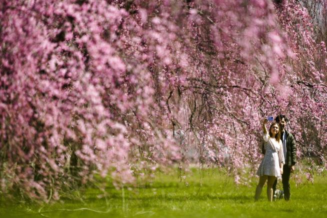 NOAA: Spring This Year Is Set to Hit the 'Sweet Spot'