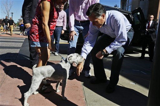 Romney Says Unlike Noem, He Didn't Kill Family Dog