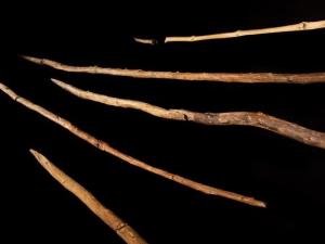 These Are Humans' Oldest Preserved Hunting Weapons