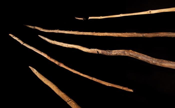 Le site met en valeur la maîtrise du bois par les premiers humains, qui a été en grande partie perdue