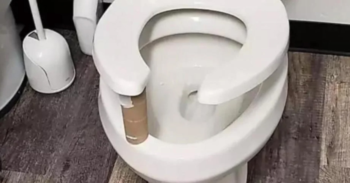 Put a Toilet Paper Roll Under the Toilet Seat at Night if Alone, Here's Why