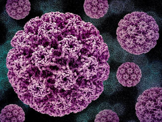 There's a New, Less-Invasive Way to Test for HPV