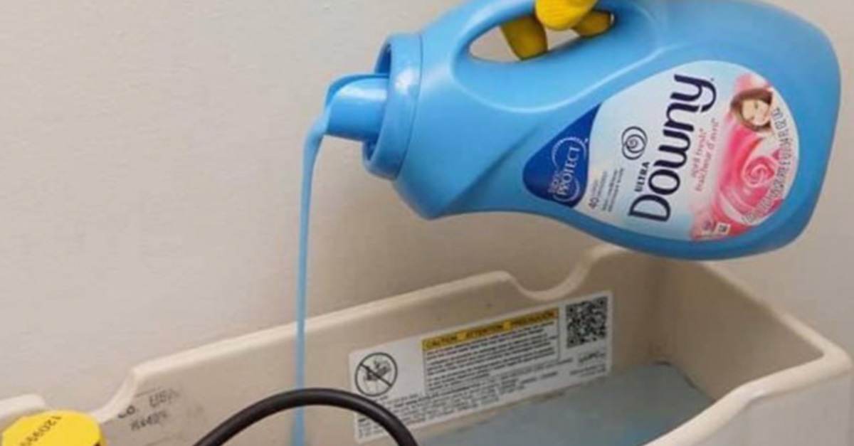 Pour Fabric Softener in Your Toilet at Night, Here's Why