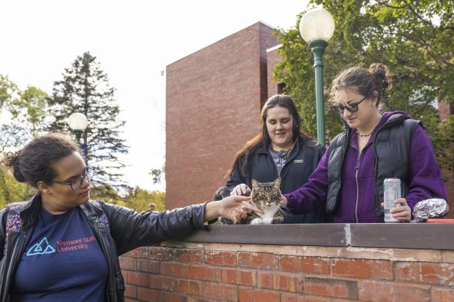 University Awards Cat Doctorate in Litter-ature