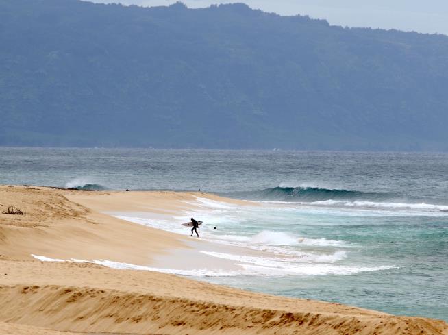 Surfer Who Was 'Loved by All' Killed in Hawaii Shark Attack