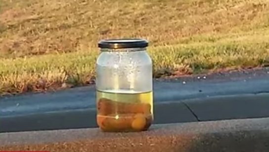 Small City's Claim to Fame: the Mysterious Pickle Jar