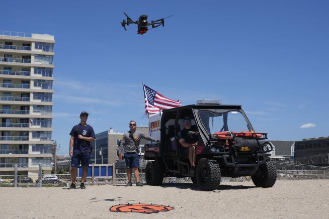 As Drones Patrol NYC Beaches Seeking Sharks, Birds Are Mad