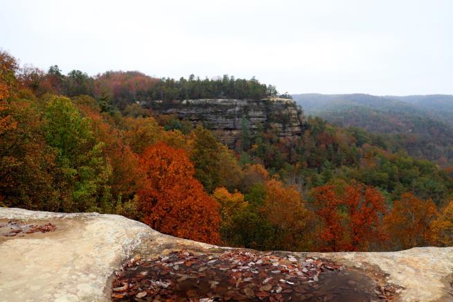 Hiker Survives 2 Weeks in Red River Gorge