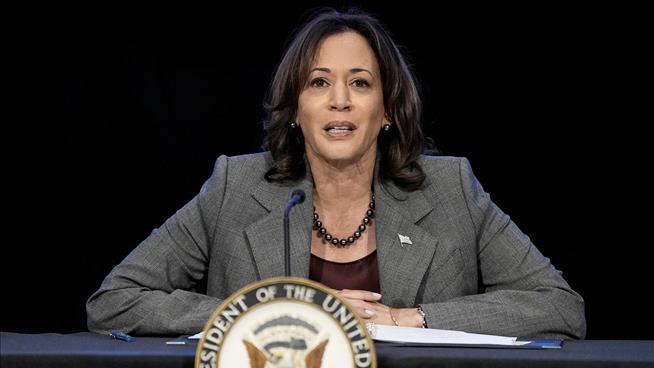 Kamala Harris' Fundraising Weapon: Zoom