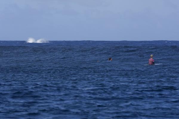 Olympics Get an Unusual Surfing Competitor