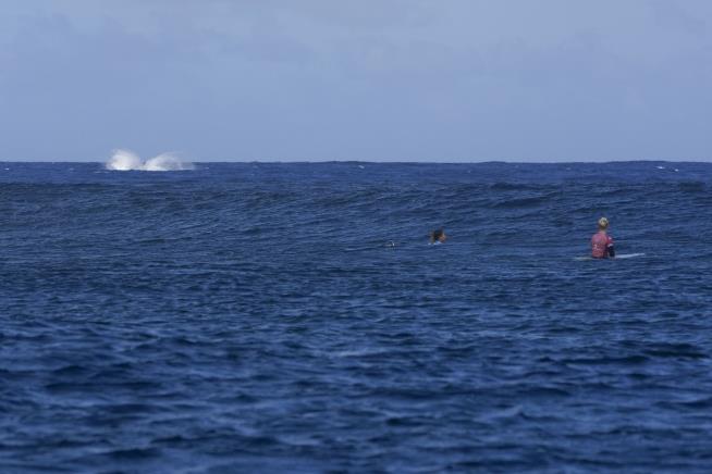 Olympics Get an Unusual Surfing Competitor