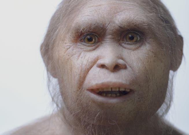 We Have More Evidence of Human 'Hobbits'