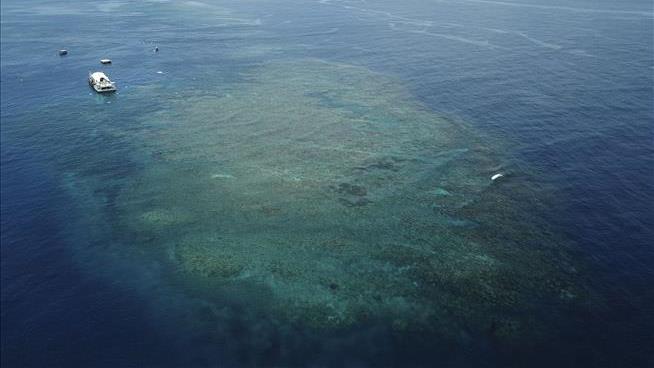 Great Barrier Reef Study Is Particularly Grim