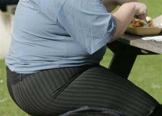 Obese? Court Backs Two Seats for One Fare