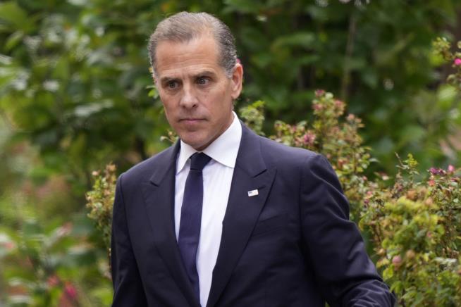 Hunter Biden Lobbied State Department for Burisma Help