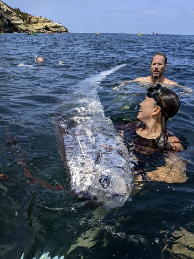 'Doomsday' Fish Turned Up Before Quake