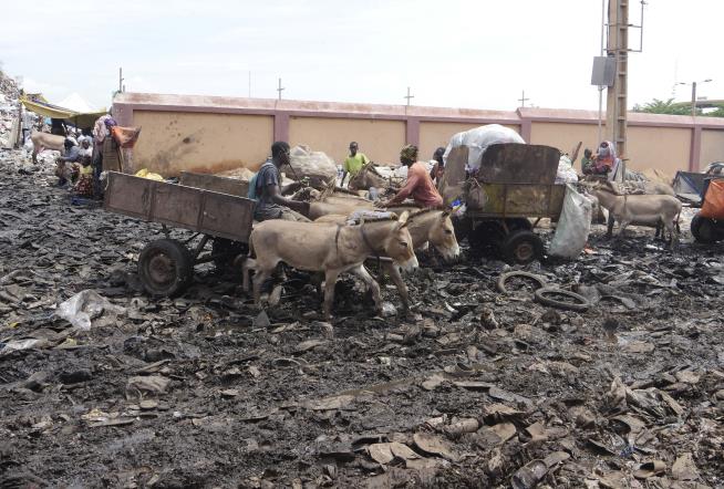 Donkey Carts Tackle Bamako's Mounting Waste Problem