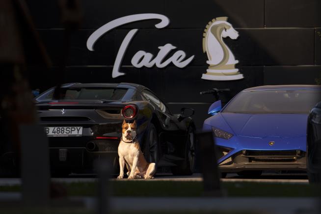 Authorities Tow Luxury Car Fleet From Andrew Tate's Home