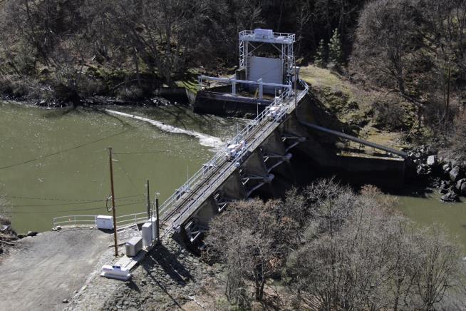 Historic Restoration: Klamath River Opens for Salmon Migration