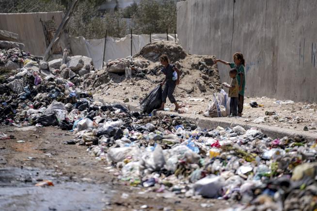 Gaza Children to Be Vaccinated for Polio as Fighting Pauses