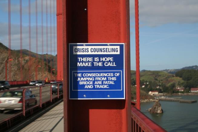 SF Studies Bridge Jumpers, Ponders Barriers
