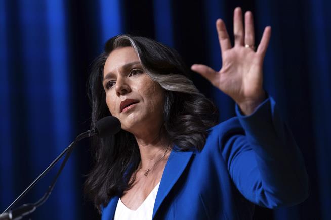 Tulsi Gabbard Hit With Very Hawaiian Criticism