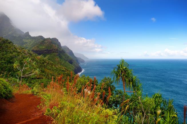 Two Dozen Fall Ill After Hikes in Hawaii