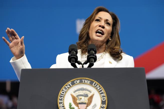 Harris Makes Big Gains With Black Voters