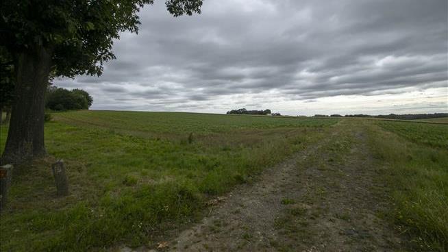 Battle of Waterloo Dig Turns Up Amputated Limbs