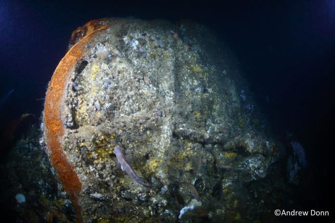 Steamship Sunk by 'Small Hole' Found After 168 Years