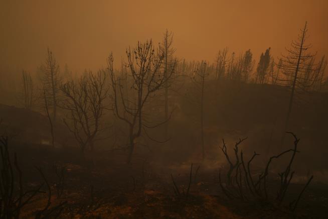 Suspect Accused of Starting Massive California Fire