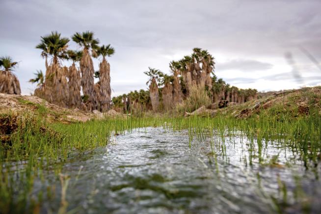 Arizona Tribe Seeks Extended Ban on Lithium Drilling