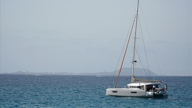 Woman Swimming Alongside Catamaran Attacked by Shark