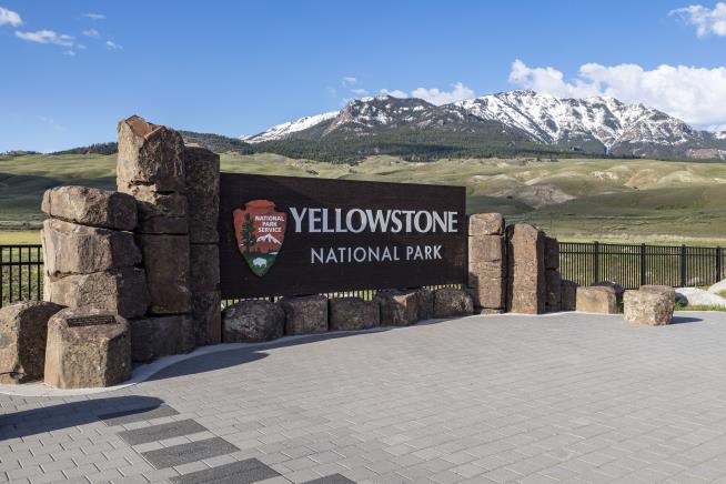 Hiker Falls Into Scalding Water Off Trail in Yellowstone